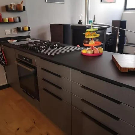 Appartement Bnbgones - Le Loft Bodin Croix Rousse - Metro *