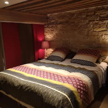 Appartement Bnbgones - Le Loft Bodin Croix Rousse - Metro *